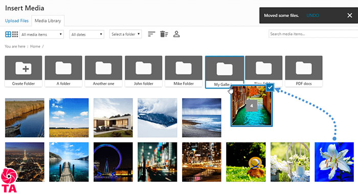 پوشه بندی رسانه ها در وردپرس